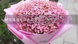 鲜花泡泡是什么品种？