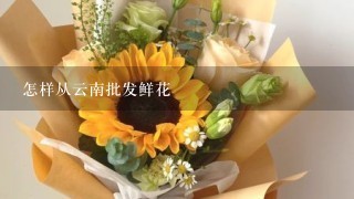 怎样从云南批发鲜花