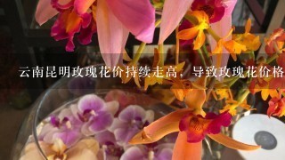 云南昆明玫瑰花价持续走高，导致玫瑰花价格上涨的原