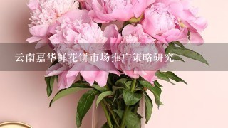 云南嘉华鲜花饼市场推广策略研究