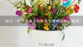 南方一年四季常开的鲜花有哪些品种，谢谢？