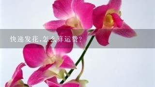 快递发花,怎么算运费?