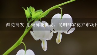 鲜花批发 想做鲜花批发，昆明哪家花卉市场比较好？