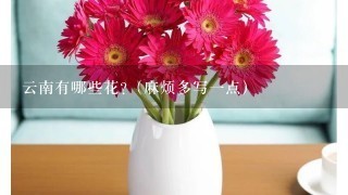 云南有哪些花?（麻烦多写一点）