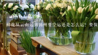 鲜花从云南运到扬州要空运还是怎么运？要保持鲜花的新鲜程度。