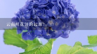 云南鲜花饼的起源？