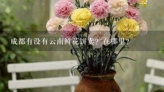 成都有没有云南鲜花饼卖？在哪里？