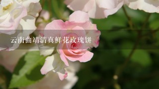 云南曲靖清真鲜花玫瑰饼