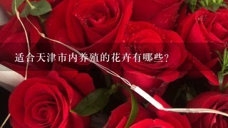 适合天津市内养殖的花卉有哪些？