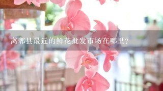 离郫县最近的鲜花批发市场在哪里？