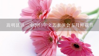 嵩明县镇二中2013年文艺表演会五月鲜花节