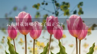 云南鲜花饼哪个牌子最正宗？