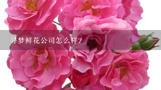 寻梦鲜花公司怎么样？