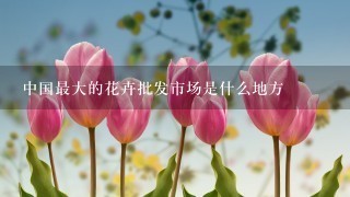 中国最大的花卉批发市场是什么地方