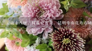 云南十8怪，鲜花论斤卖，昆明斗南花卉市场卖鲜花犹