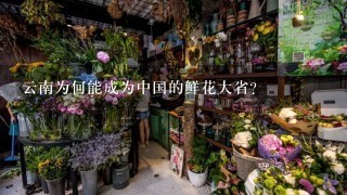 云南为何能成为中国的鲜花大省？