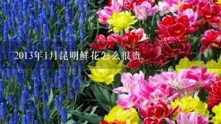 2013年1月昆明鲜花怎么很贵