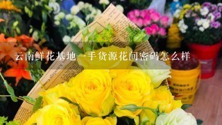 云南鲜花基地1手货源花间密码怎么样