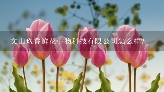 文山玖香鲜花生物科技有限公司怎么样？