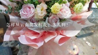 怎样从云南批发鲜花？多久到？