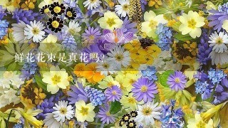 鲜花花束是真花吗?