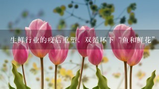 生鲜行业的疫后重塑，双循环下“鱼和鲜花”如何兼得