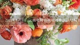 2018年8月8日,云南电网公司昭通彝良供电局角奎供电所在开展0.4kV线路抢修工作过程中。汪某武作为工作负责人...