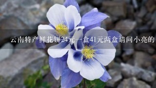 云南特产鲜花饼24元1盒41元两盒请问小亮的爸爸用22