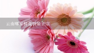 云南哪家鲜花饼最正宗