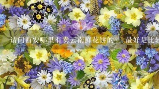 请问西安哪里有卖云南鲜花饼的？ 最好是比较正宗的，谢谢。