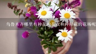 乌鲁木齐哪里有种花的花农和种鲜花的花场呢