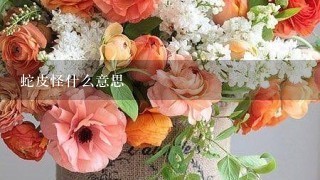 蛇皮怪什么意思