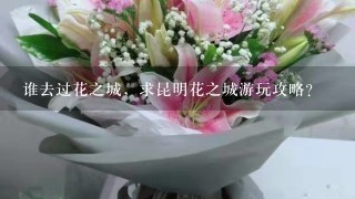 谁去过花之城，求昆明花之城游玩攻略？