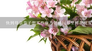 快到母亲节了想买些康乃馨请问那里鲜花批发便宜，请