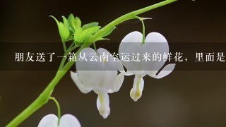 朋友送了1箱从云南空运过来的鲜花，里面是1束1束