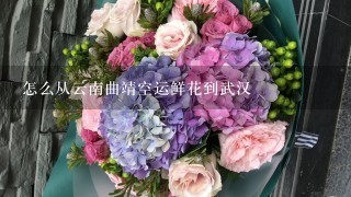 怎么从云南曲靖空运鲜花到武汉