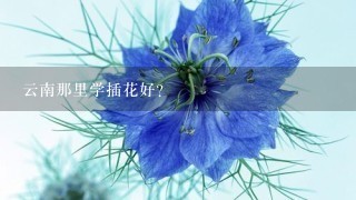 云南那里学插花好？