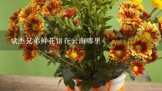 斌杰兄弟鲜花饼在云南哪里