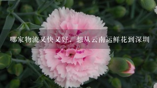 哪家物流又快又好，想从云南运鲜花到深圳