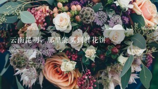 云南昆明，那里能买到鲜花饼