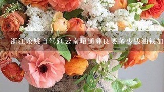 浙江余姚自驾到云南昭通彝良要多少钱油钱加过路费？