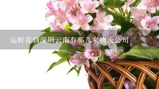 运鲜花到深圳云南有那几家物流公司