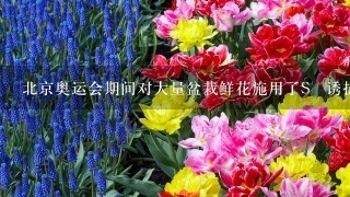 北京奥运会期间对大量盆栽鲜花施用了S­诱抗素制剂,以保持鲜花盛开。S­诱抗素的分子结构如图,下列关于该分子说法正确的是 ...