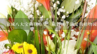 京城8大宝藏花市里，藏着孩子最爱的植物园和水族馆