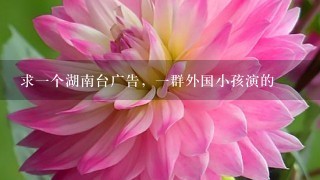 求1个湖南台广告，1群外国小孩演的