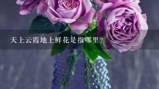 天上云霞地上鲜花是指哪里？