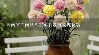 云南省广南县8宝镇有没有玫瑰花店