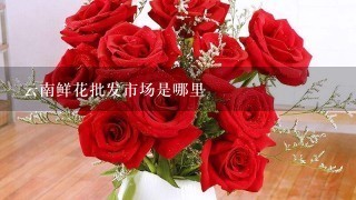 云南鲜花批发市场是哪里