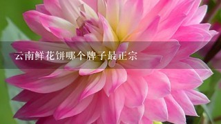 云南鲜花饼哪个牌子最正宗