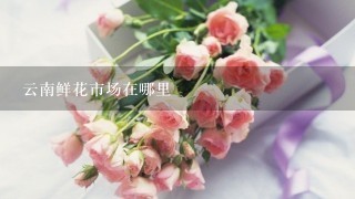 云南鲜花市场在哪里